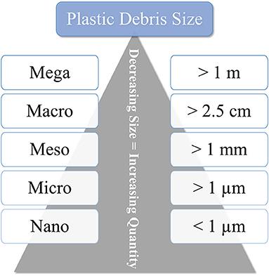 Not as Bad as It Seems? A Literature Review on the Case of Microplastic Uptake in Fish